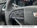 Cadillac XT6 3,6 V6 AWD Sport - mtl. 699 € o. Anzahl. - thumbnail 21