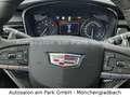 Cadillac XT6 3,6 V6 AWD Sport - mtl. 699 € o. Anzahl. - thumbnail 22