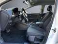 SEAT Leon Style | DSG, LED-Scheinwerfer Weiß - thumbnail 11