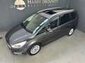 Ford Galaxy 1.5 Titanium/7 Pers/ panoramadak/cruise adaptief/v Gris - thumbnail 6
