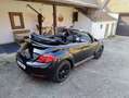 Volkswagen Beetle Beetle Cabrio 1,2 TSI Austria DSG Austria Schwarz - thumbnail 4