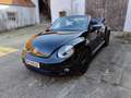 Volkswagen Beetle Beetle Cabrio 1,2 TSI Austria DSG Austria Schwarz - thumbnail 3