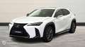 Lexus UX 250h 250h 2WD F SPORT Executive MY21 - thumbnail 1