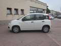 Fiat Panda 1.2 GPL Easy (ok anche neopatentati) Blanco - thumbnail 9