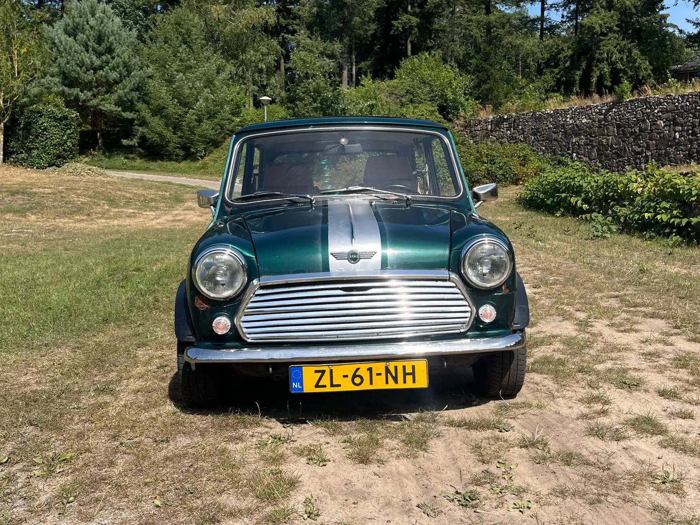 MINI 1000 1000 Mayfair Sport Grün - 2