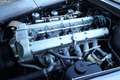 Aston Martin DB DB6 "Matching Numbers" The comprehensive history f Gris - thumbnail 20