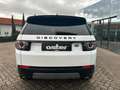 Land Rover Discovery Sport P240 SE|Black Pack|Meridian|Pano White - thumbnail 7