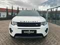 Land Rover Discovery Sport P240 SE|Black Pack|Meridian|Pano Weiß - thumbnail 3