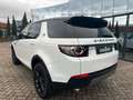 Land Rover Discovery Sport P240 SE|Black Pack|Meridian|Pano White - thumbnail 5