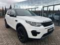 Land Rover Discovery Sport P240 SE|Black Pack|Meridian|Pano White - thumbnail 2
