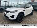 Land Rover Discovery Sport P240 SE|Black Pack|Meridian|Pano Weiß - thumbnail 1