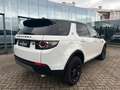 Land Rover Discovery Sport P240 SE|Black Pack|Meridian|Pano White - thumbnail 6