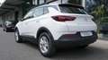 Opel Grandland 1.2 Basis Klimaauto Multimedia Blanco - thumbnail 5
