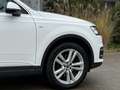 Audi Q7 3,0 TDI // S-Line // PANORAMA // GARANTIE Weiß - thumbnail 10