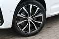 Volvo XC60 B4 D Autom. Plus Dark*STDHZG*360°*H&K*ACC Weiß - thumbnail 2