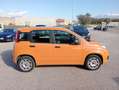 Fiat Panda 1.2 69cv Easy UNIPROPRIETARIO Arancione - thumbnail 6