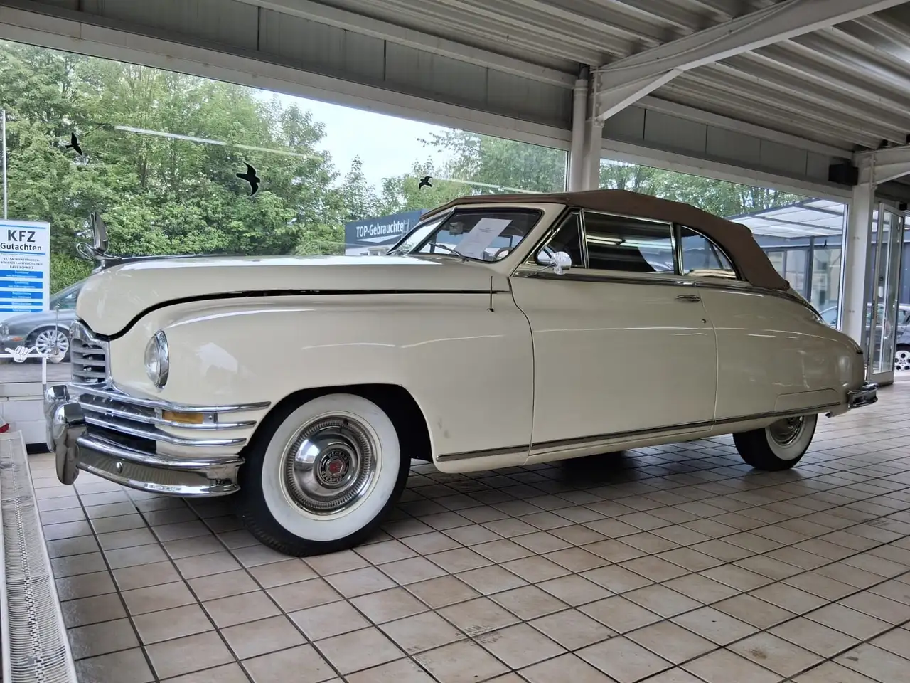 Oldtimer Packard Bild 3