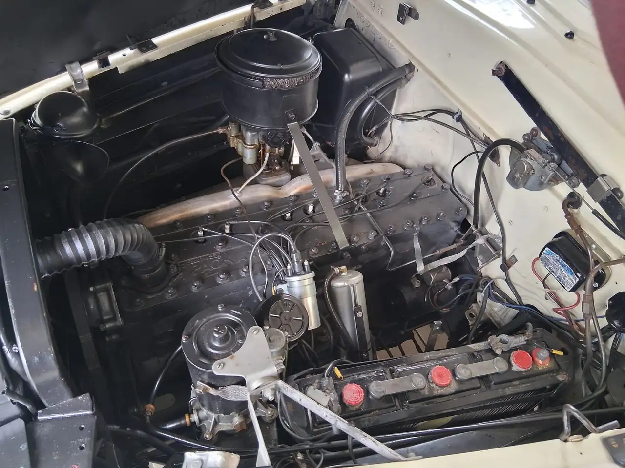 Oldtimer Packard Bild 14