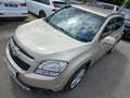 Chevrolet Orlando Orlando 2,0 LTZ DPF LTZ Braun - thumbnail 2