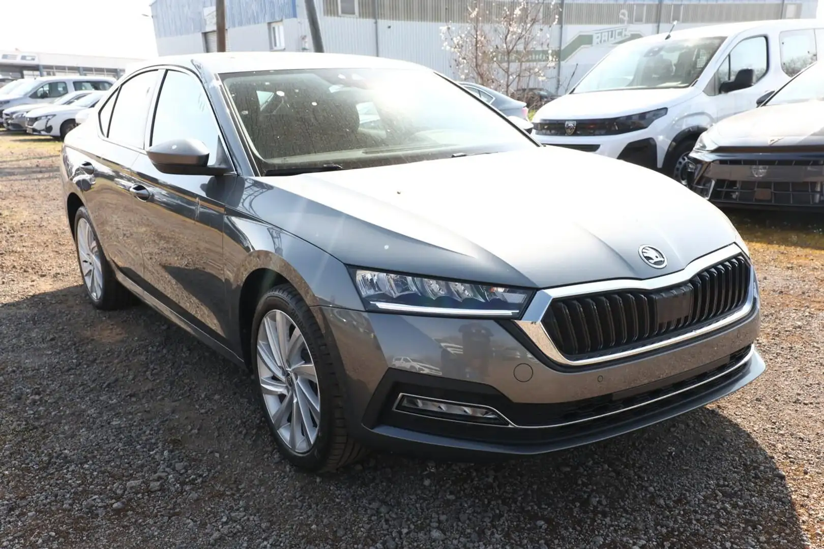 Skoda Octavia PHEV 204 DSG SideA ACC Kam SHZ Kessy 18Z 150 kW... Grau - 2