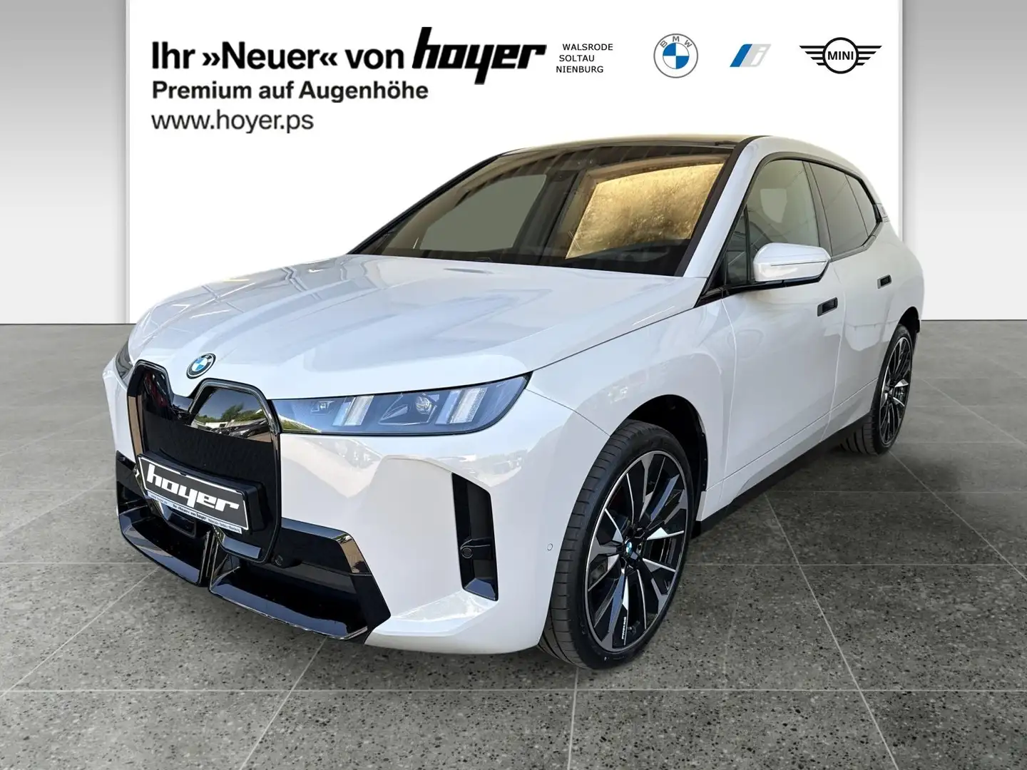 BMW iX xDrive45 M Sportpaket Pro Innovationspaket AHK Pan Grau - 1