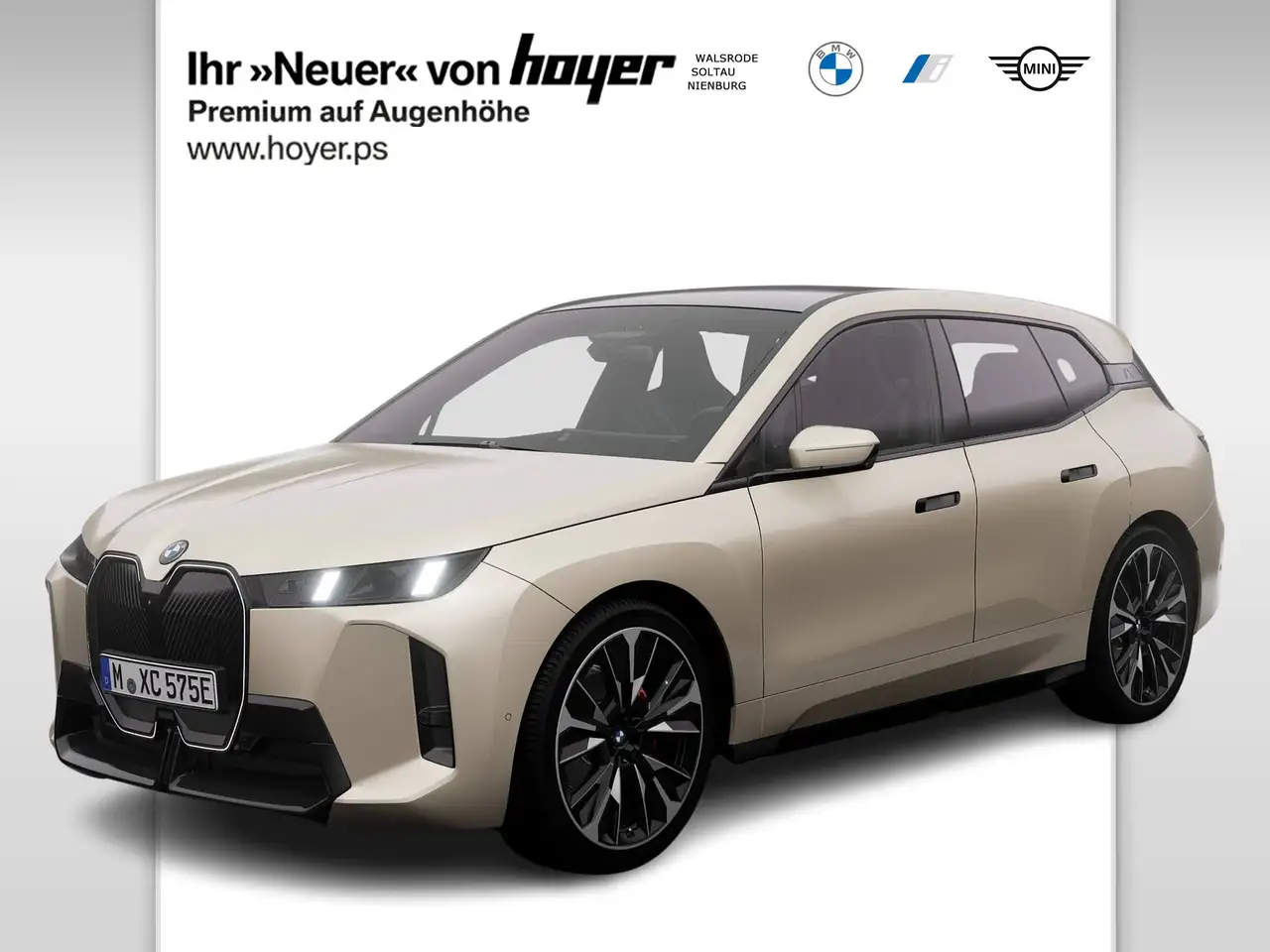 BMW iX