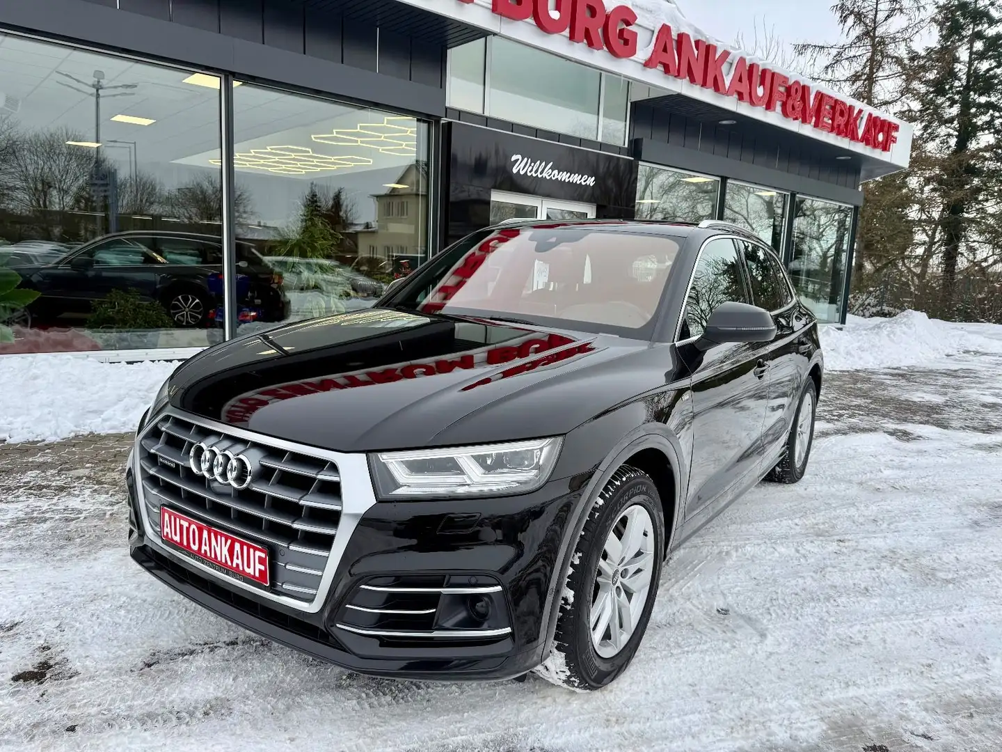 Audi Q5 50 TFSI e quattro S-Line Leder LED Automatik Schwarz - 2