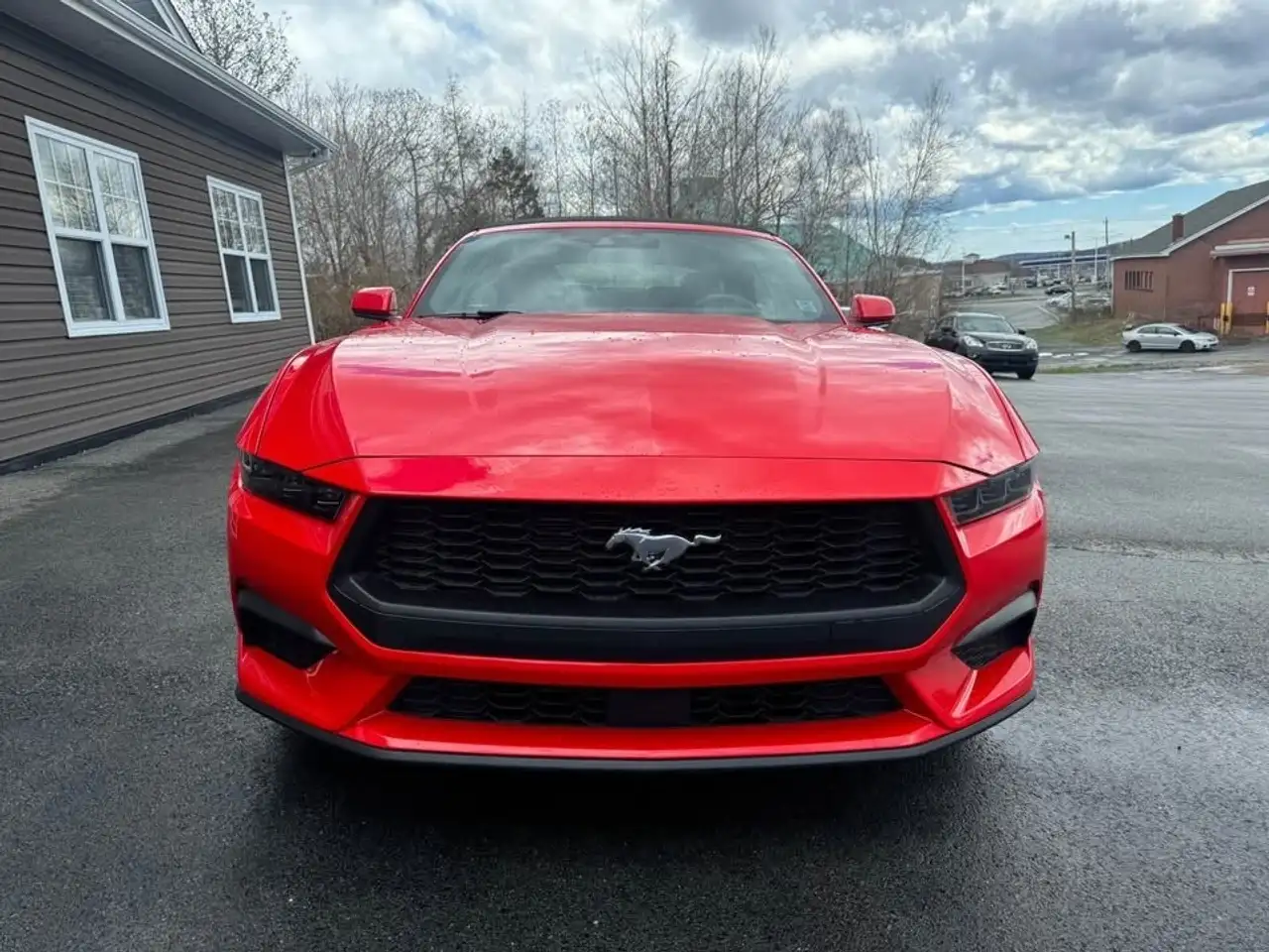 Ford Mustang снимка Ford Mustang