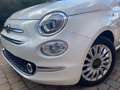 Fiat 500 ZEER MOOIE STAAT !! Blanc - thumbnail 15
