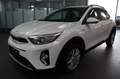 Kia Stonic 1.0 AT C.Play Klima Tempo ALU  SOFORT Weiß - thumbnail 1