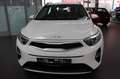 Kia Stonic 1.0 AT C.Play Klima Tempo ALU  SOFORT Weiß - thumbnail 2