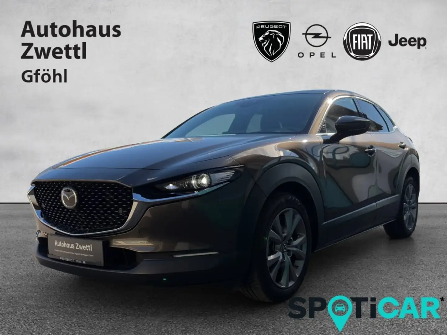 Mazda CX-30 2.0 Skyactiv-G Mild-Hybrid Comfort+ Grau - 1