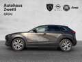 Mazda CX-30 2.0 Skyactiv-G Mild-Hybrid Comfort+ Grau - thumbnail 3