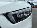 Mercedes-Benz A 250 Kompaktlimousine SHZ Weiß - thumbnail 14