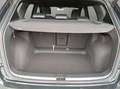 SEAT Ateca Xperience 1.5 TSI 150 PS 6-Gang Verde - thumbnail 19