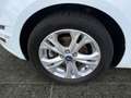Ford S-Max 2.0 Titanium-Autom.-8Fach Bereift-Tüv Neu Weiß - thumbnail 9