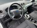 Ford S-Max 2.0 Titanium-Autom.-8Fach Bereift-Tüv Neu Weiß - thumbnail 12