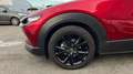 Mazda CX-30 2.0 e-Skyactiv-G Homura FWD Aut. 90kW Rouge - thumbnail 10