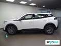 Peugeot 2008 BlueHDI 81kW (110CV) Active Pack Blanco - thumbnail 26