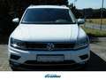Volkswagen Tiguan Highline OPF (EURO 6d-TEMP) Klima Einparkhilfe Weiß - thumbnail 1