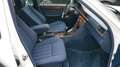 Mercedes-Benz E 220 H-Kennzeichen Blanc - thumbnail 13