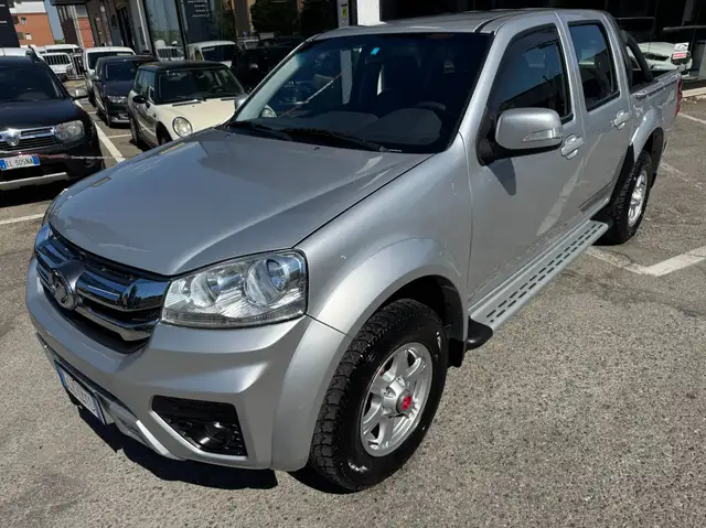Great Wall Steed