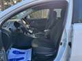 Kia Sportage 1.7 CRDI 115CV " SUPER PREZZO " Weiß - thumbnail 5