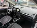 Ford EcoSport 1.5 TDCi 100 CV Start&Stop Business Gris - thumbnail 13