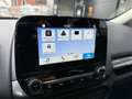 Ford EcoSport 1.5 TDCi 100 CV Start&Stop Business Gris - thumbnail 15