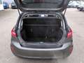 Ford Fiesta 1.0 EcoBoost Titanium Bluetooth LED Klima Grau - thumbnail 24