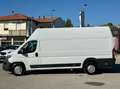 Fiat Ducato MAXI 35 XLH3 2.3 Multijet 130CV Bianco - thumbnail 8