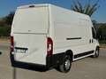 Fiat Ducato MAXI 35 XLH3 2.3 Multijet 130CV Bianco - thumbnail 10