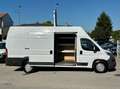 Fiat Ducato MAXI 35 XLH3 2.3 Multijet 130CV Bianco - thumbnail 7
