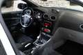 Ford Focus Focus 2.5T - 305 RS Blanc - thumbnail 8